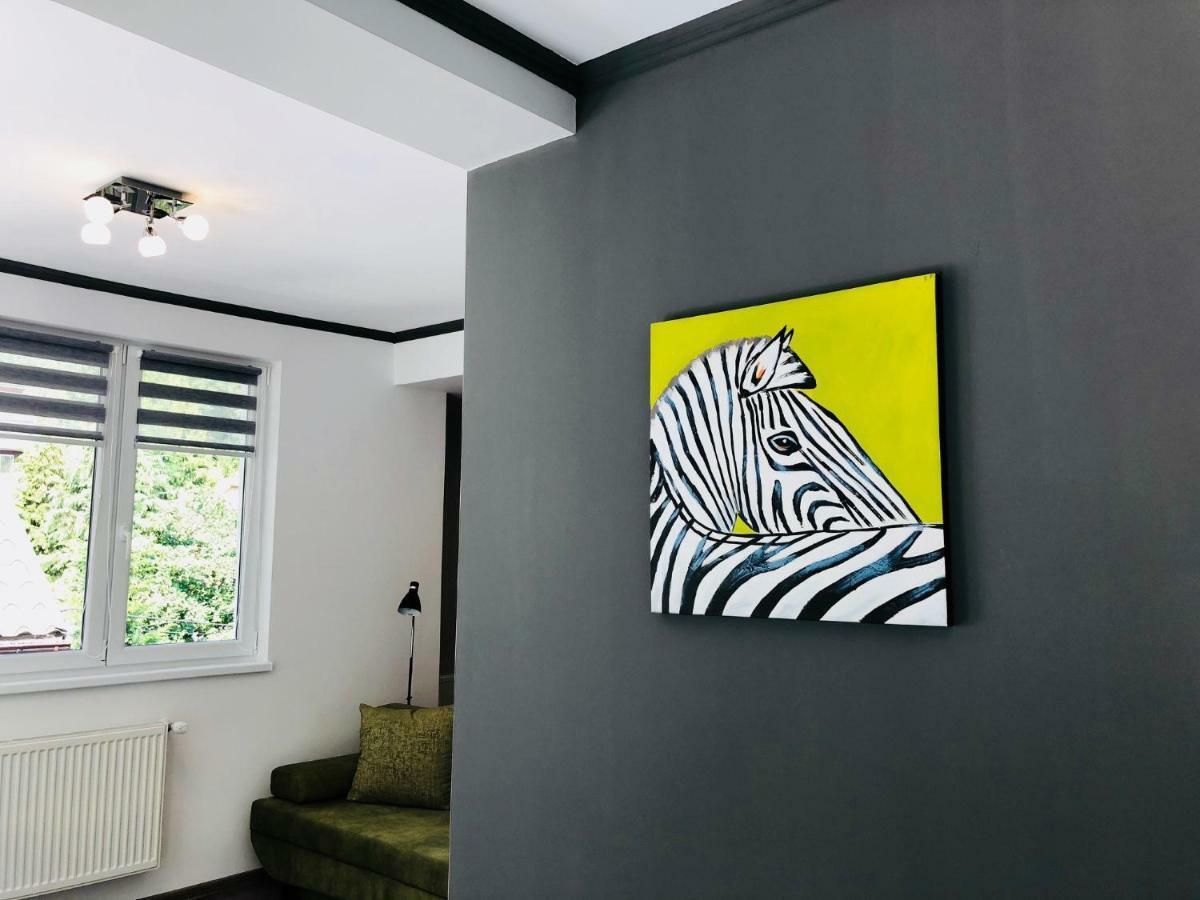 Apartment Luxury Modern Baia Mare